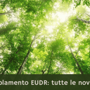 Regolamento EUDR: tutte le novità.