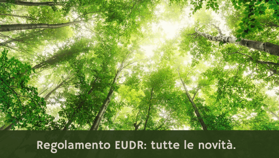 Regolamento EUDR: tutte le novità.